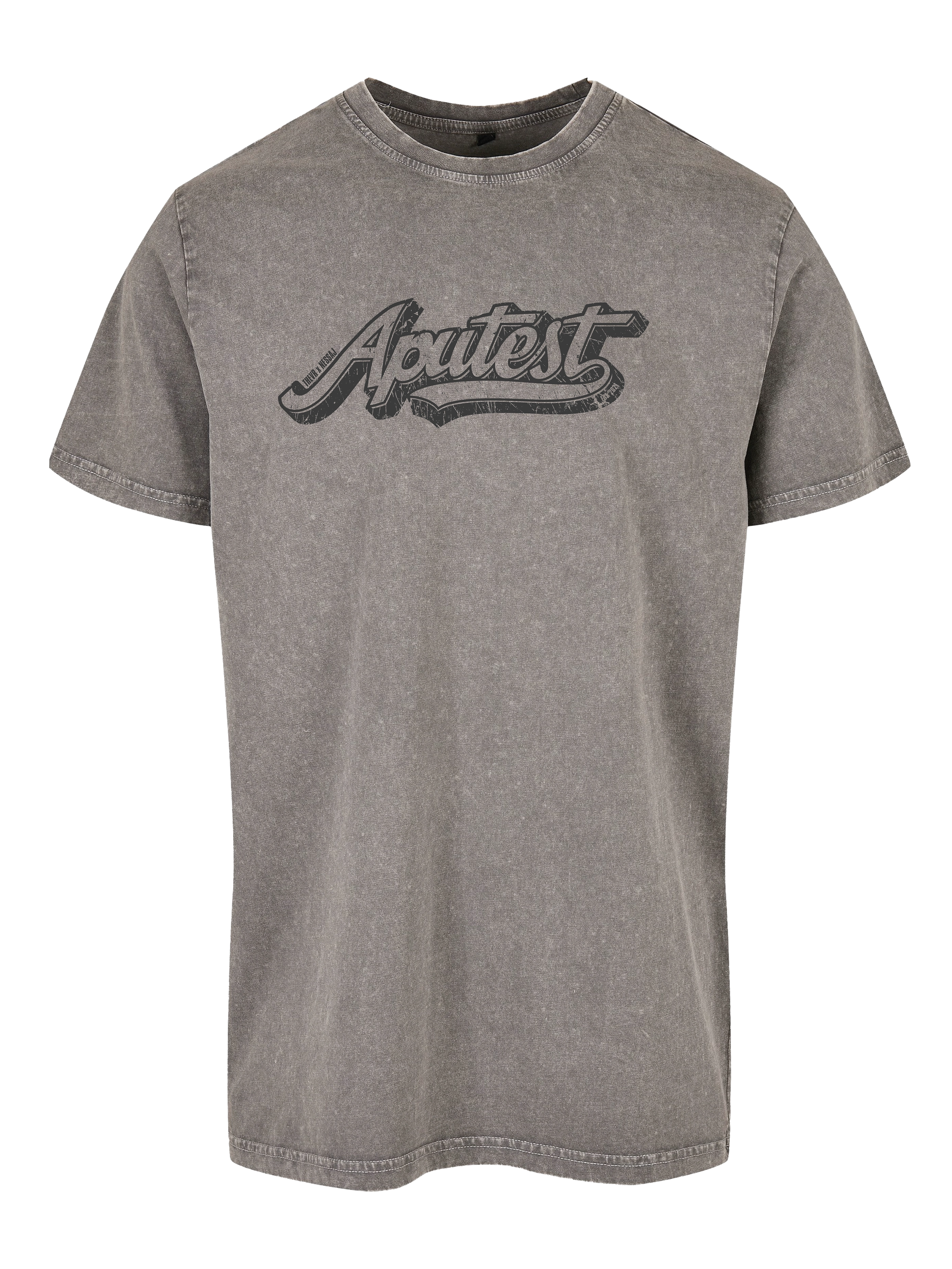 APUTEST '25 | THEVR x NESSAJ férfi póló